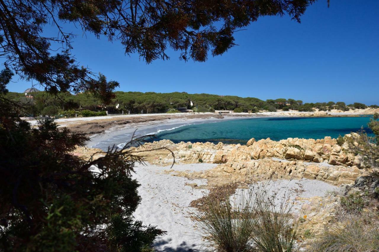 Villa Arancio Cala Liberotto Luaran gambar